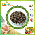Factory Water Soluble Fertilizer 19-19-19 for Agriculture Use